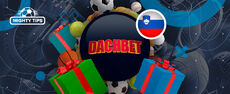 dachbet-230x98